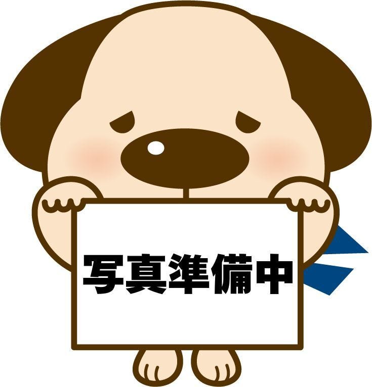 室内写真は撮影後掲載します