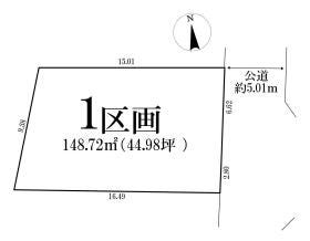 概観画像