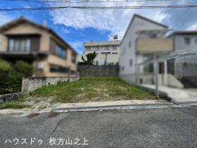 概観画像