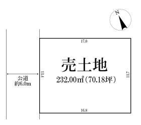 概観画像
