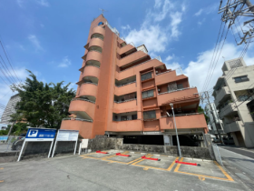 概観画像