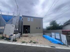 概観画像