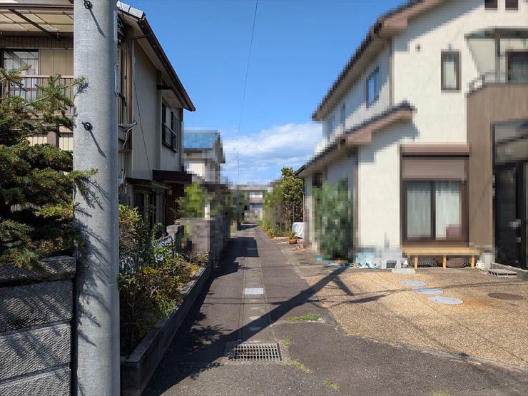 2026/7/29 撮影