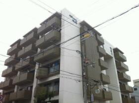概観画像
