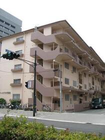 概観画像