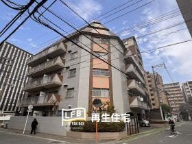 概観画像