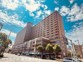 概観画像