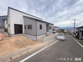 概観画像