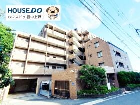 概観画像