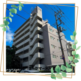 概観画像