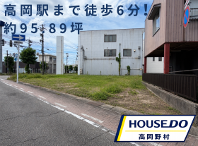 概観画像
