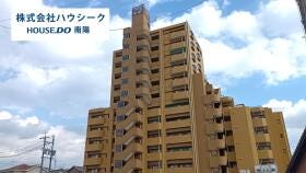 概観画像