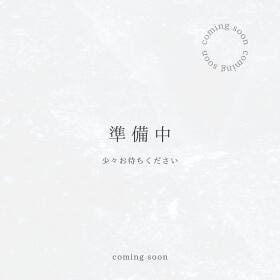 概観画像