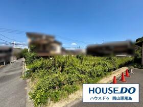 概観画像