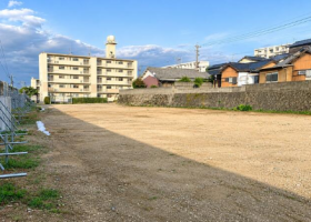 概観画像