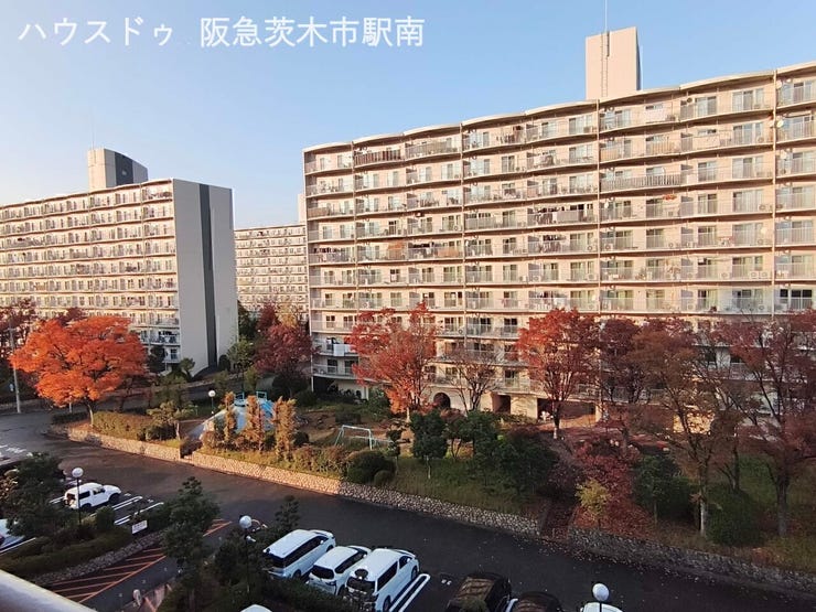 緑地帯と駐車場