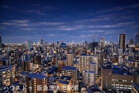 概観画像