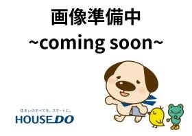 概観画像