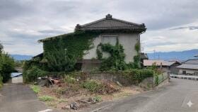 概観画像