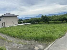 概観画像