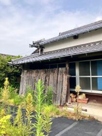 概観画像