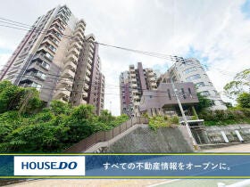 概観画像