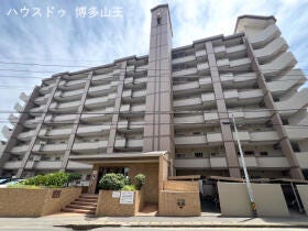 概観画像
