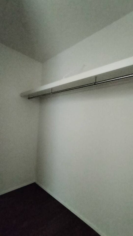 洋室収納です。