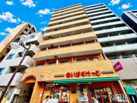 概観画像