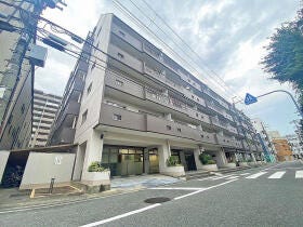 概観画像