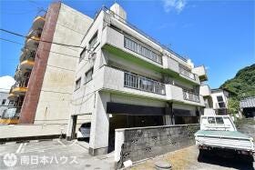 概観画像