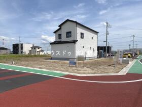 概観画像