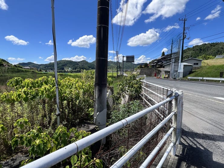 敷地内に電柱あり。