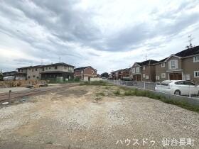 概観画像