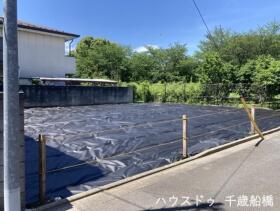 概観画像