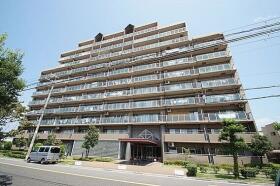 概観画像