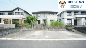 概観画像