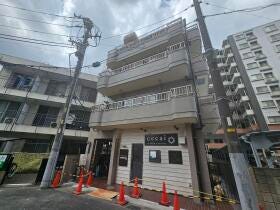 概観画像