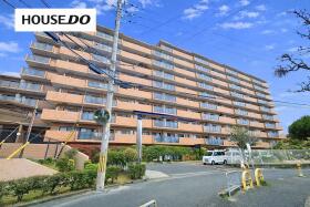 概観画像