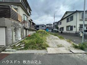 概観画像