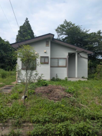 概観画像