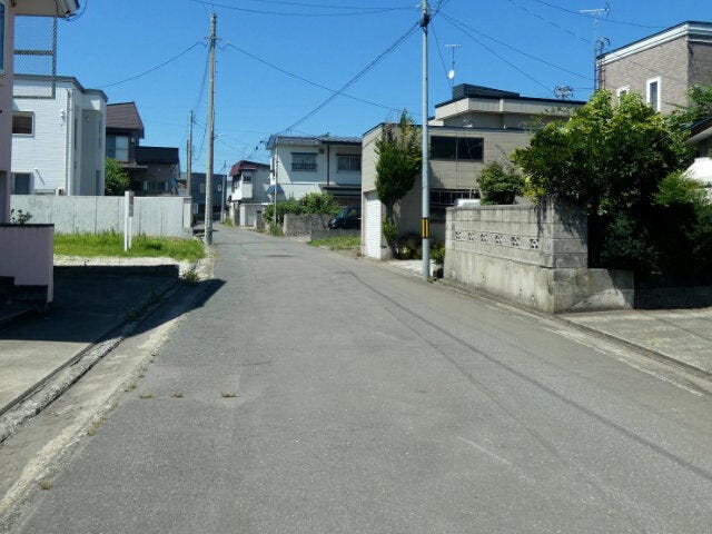 前面道路は側溝がなく段差が少ないため、安心して通行できます。道路幅はゆとりの5.3mで、車の出入りもしやすいですね。