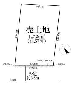 概観画像