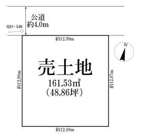 概観画像
