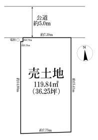 概観画像
