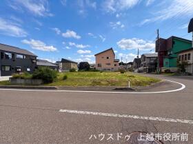概観画像