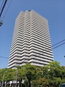 概観画像