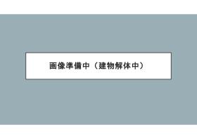 概観画像
