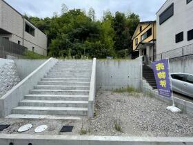 概観画像