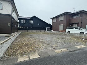 概観画像